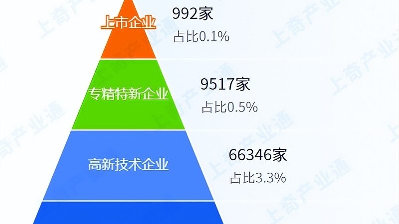 信息技术加盟代理：揭秘加盟背后的逻辑与选择**